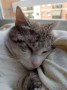 Grey (2)